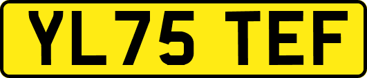 YL75TEF