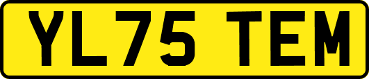 YL75TEM