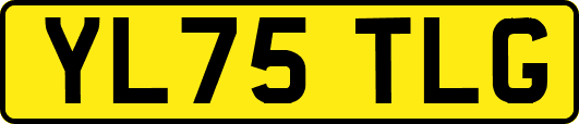 YL75TLG