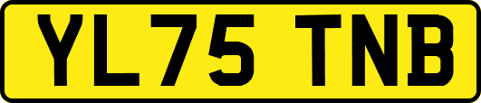 YL75TNB