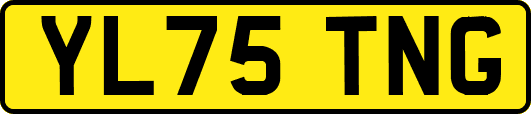 YL75TNG
