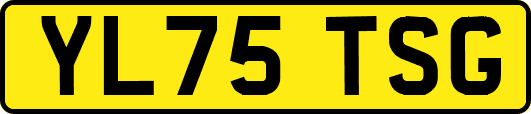 YL75TSG