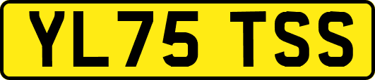YL75TSS