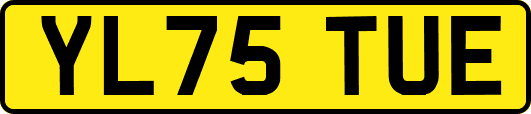 YL75TUE