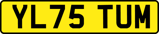 YL75TUM