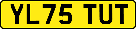 YL75TUT