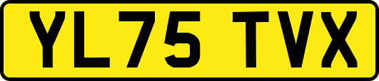 YL75TVX