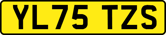 YL75TZS