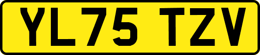 YL75TZV