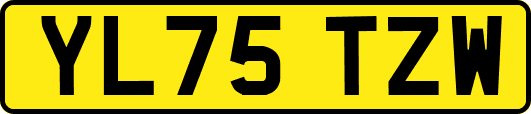 YL75TZW