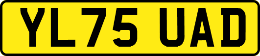 YL75UAD