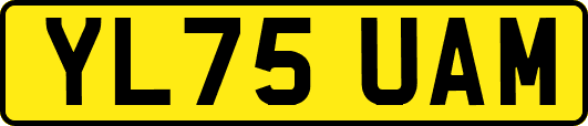 YL75UAM