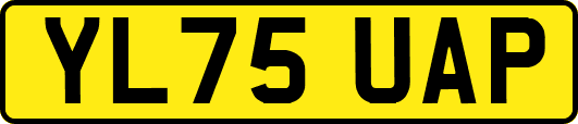 YL75UAP