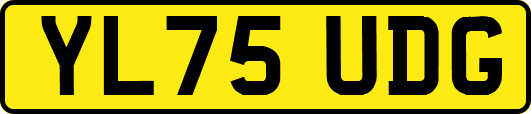 YL75UDG