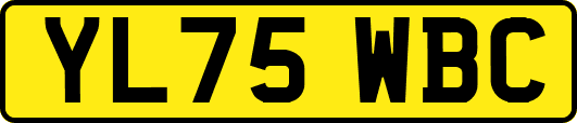 YL75WBC