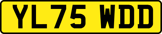 YL75WDD