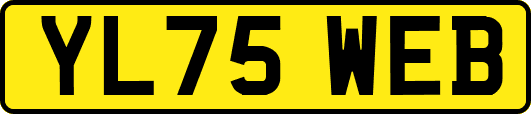 YL75WEB
