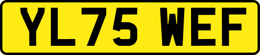 YL75WEF