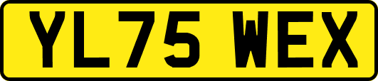YL75WEX