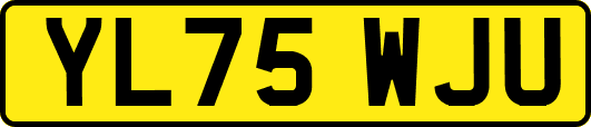YL75WJU