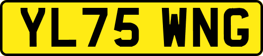 YL75WNG