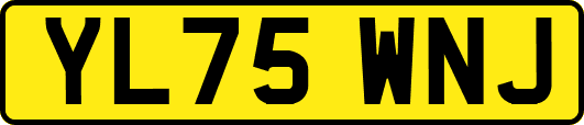 YL75WNJ