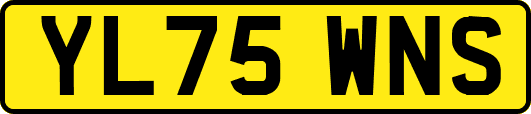 YL75WNS