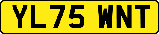 YL75WNT
