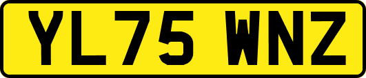 YL75WNZ