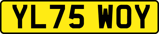 YL75WOY