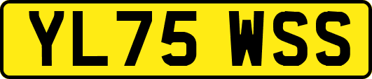 YL75WSS