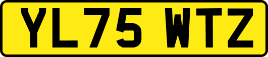 YL75WTZ