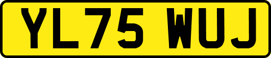 YL75WUJ