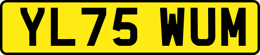 YL75WUM
