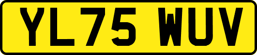 YL75WUV