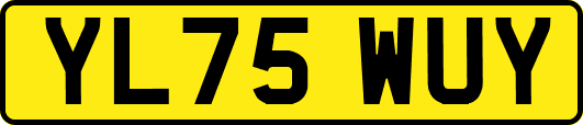 YL75WUY