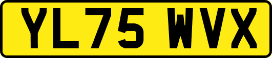 YL75WVX