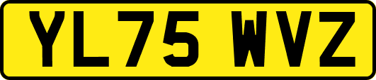 YL75WVZ