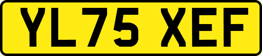 YL75XEF