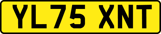 YL75XNT