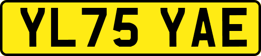 YL75YAE