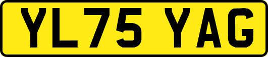 YL75YAG
