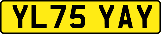 YL75YAY