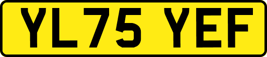 YL75YEF