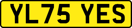 YL75YES