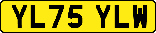 YL75YLW