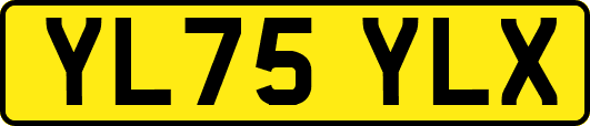 YL75YLX