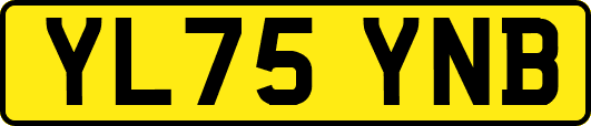 YL75YNB
