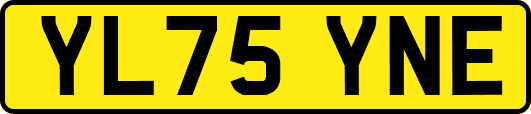 YL75YNE