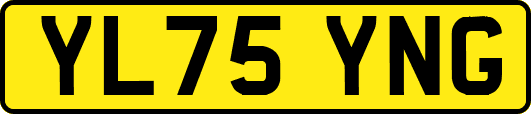 YL75YNG